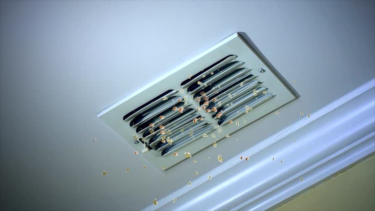 Best Ventilation Cleaning Services  in Little Walnut Village, NM