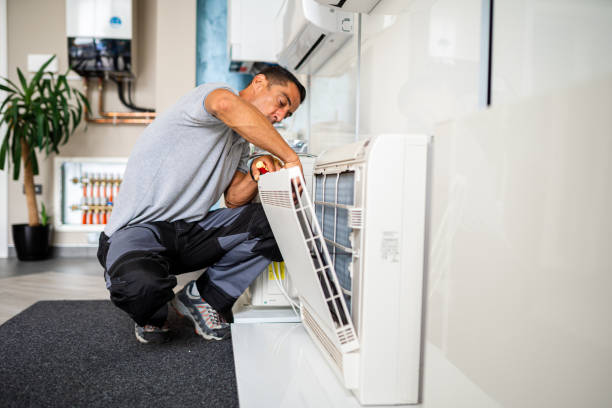 Best Air Duct Sanitizing Services  in Little Walnut Village, NM